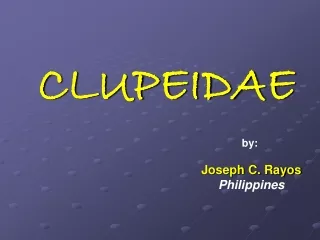 CLUPEIDAE