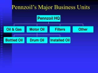 Pennzoil’s Major Business Units