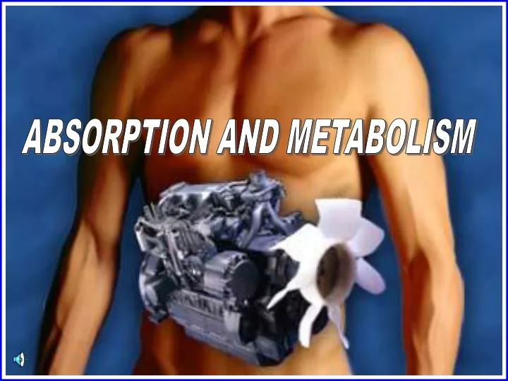 absorption and metabolism