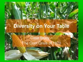 Diversity on Your Table
