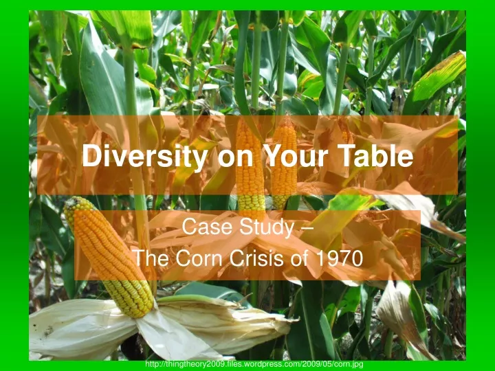 diversity on your table