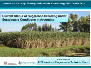 International Workshop: Bioenergy and Industrial Biotechnology, 29-31 October 2018