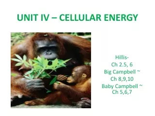 UNIT IV – CELLULAR ENERGY