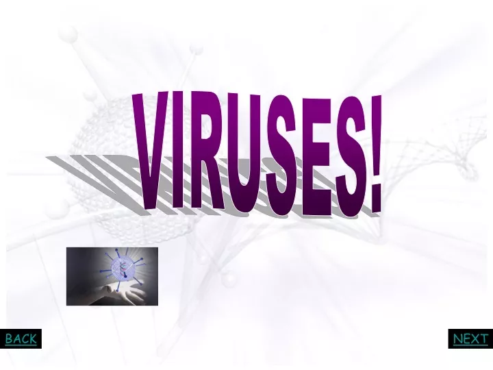 viruses