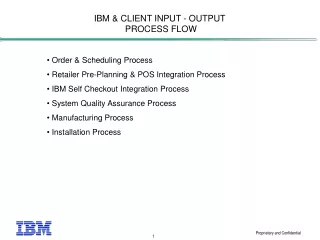 IBM &amp; CLIENT INPUT - OUTPUT  PROCESS FLOW