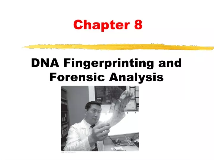 dna fingerprinting and forensic analysis