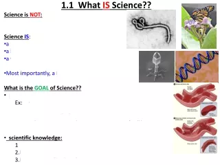 1.1  What  IS  Science??