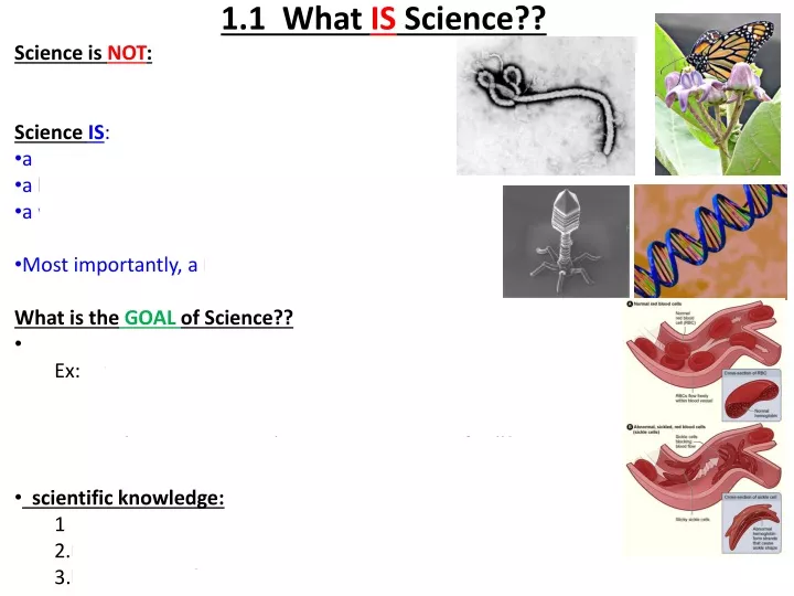 1 1 what is science