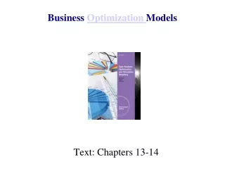 Business  Optimization  Models