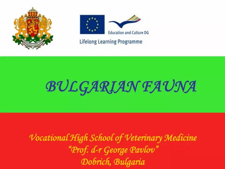bulgarian fauna