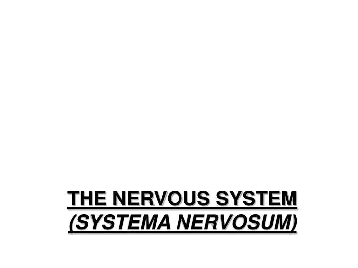 the nervous system systema nervosum