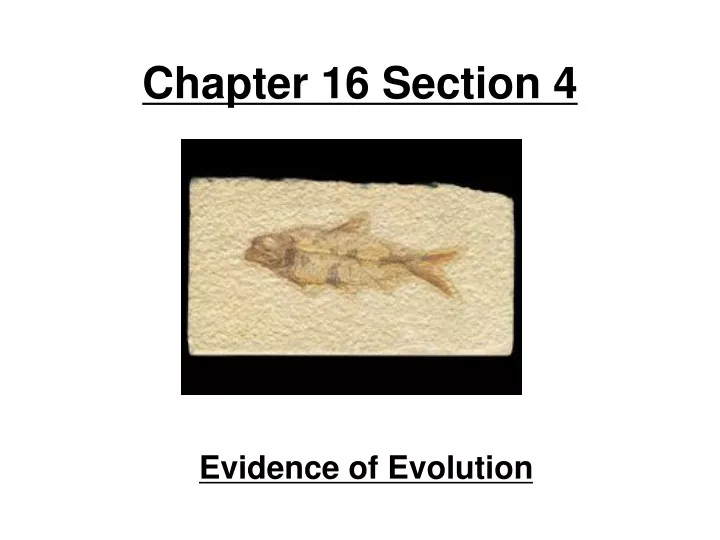chapter 16 section 4