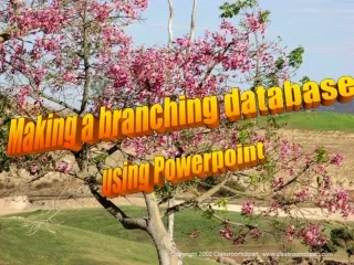 Making a branching database