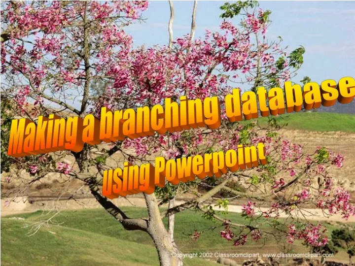 making a branching database