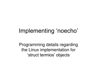 Implementing ‘noecho’