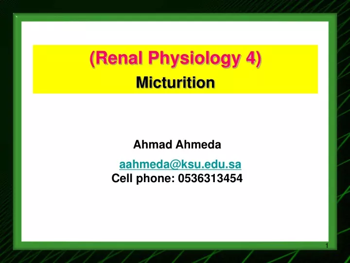 renal physiology 4 micturition