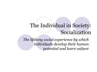 The Individual in Society:  Socialization
