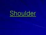 Understanding the Shoulder: Bones, Joints & Muscles - slide 1