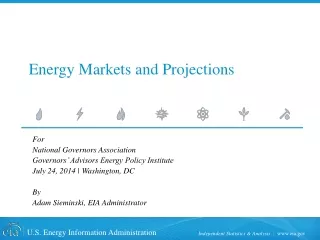 For National Governors Association Governors’ Advisors Energy Policy Institute