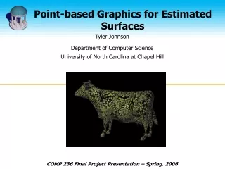 Point-based Graphics for Estimated Surfaces