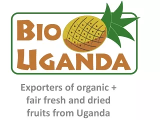 Exporters of organic + fair fresh and dried fruits from Uganda