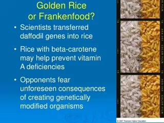 Golden Rice or Frankenfood?