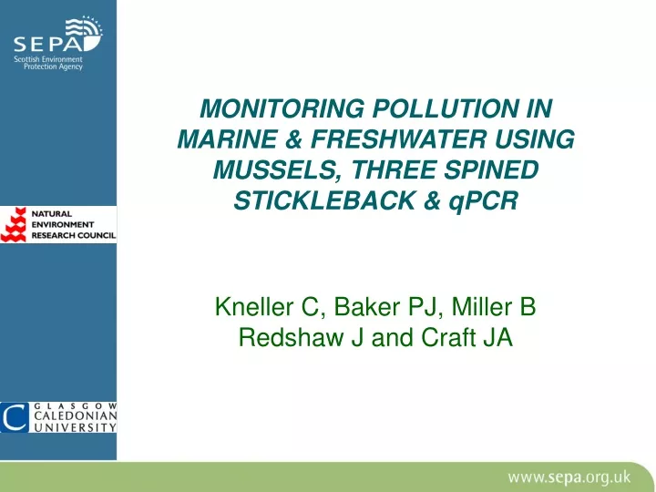 monitoring pollution in marine freshwater using mussels three spined stickleback qpcr