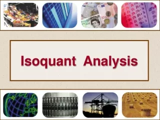 Isoquant  Analysis
