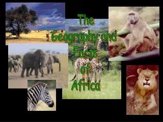 The Geography and  Facts of Africa