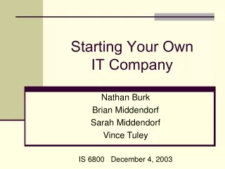 Starting Your Own      IT Company