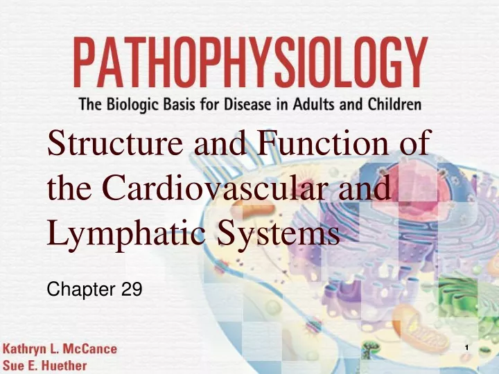 structure and function of the cardiovascular and lymphatic systems