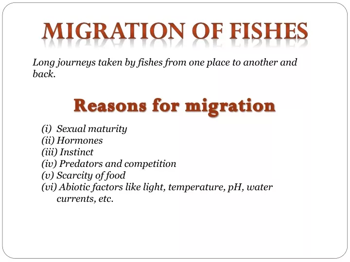 migration of fishes
