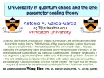 Universality in Quantum Chaos and One-Parameter Scaling Theory - slide 1