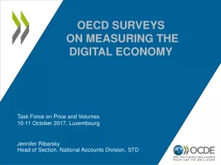 OECD Surveys  on Measuring the digital Economy