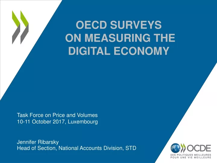oecd surveys on measuring the digital economy