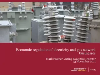 Economic regulation of electricity and gas network businesses