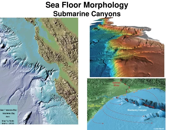 sea floor morphology submarine canyons