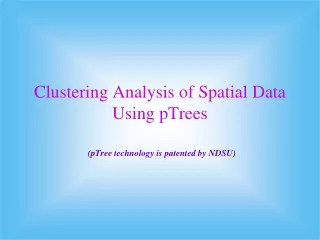Clustering Analysis of Spatial Data  Using pTrees (pTree technology is patented by NDSU)