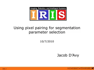 Using pixel pairing for segmentation parameter selection 10/7/2010