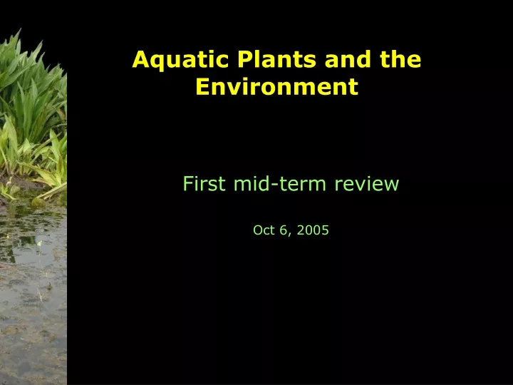 aquatic plants and the environment