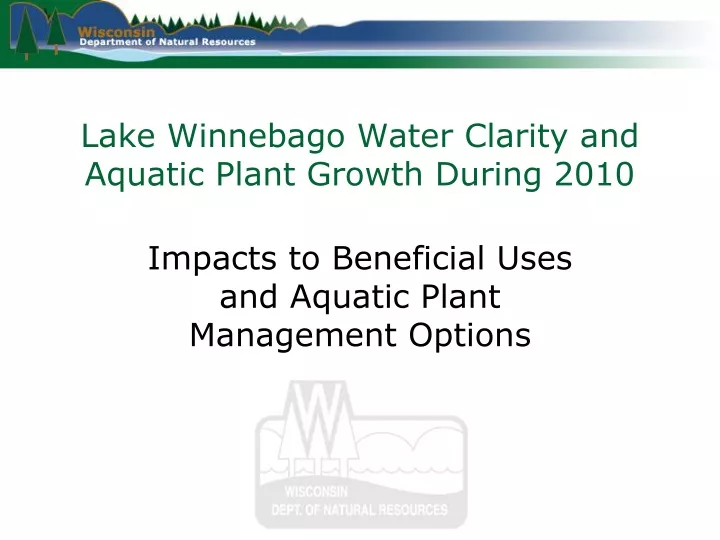 lake winnebago water clarity and aquatic plant growth during 2010