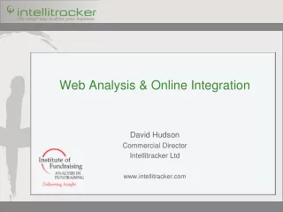 Web Analysis &amp; Online Integration