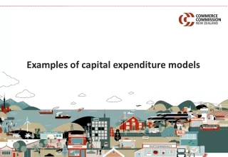 Examples of capital expenditure models