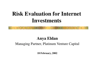 Risk Evaluation for Internet  Investments
