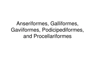 Anseriformes, Galliformes, Gaviiformes, Podicipediformes, and Procellariformes