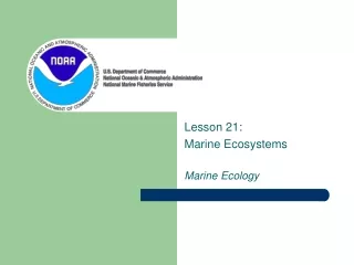 Lesson 21:  Marine Ecosystems Marine Ecology