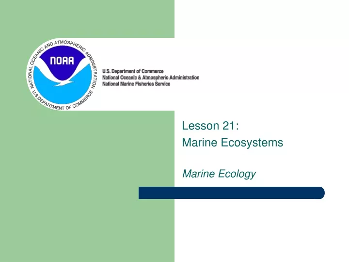 lesson 21 marine ecosystems marine ecology