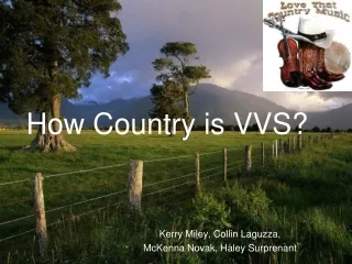 How Country is VVS?