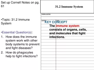 Set up Cornell Notes on pg. 61 Topic: 31.2 Immune System Essential Question(s) :