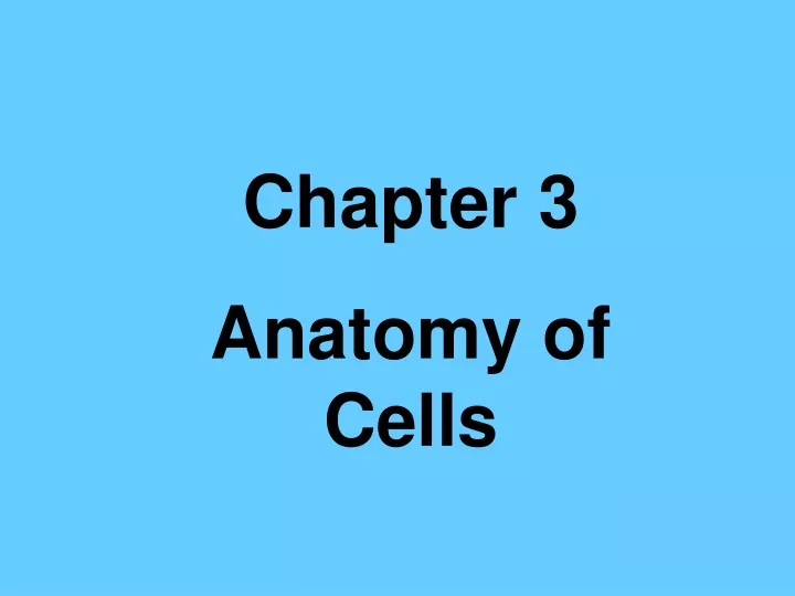 chapter 3 anatomy of cells